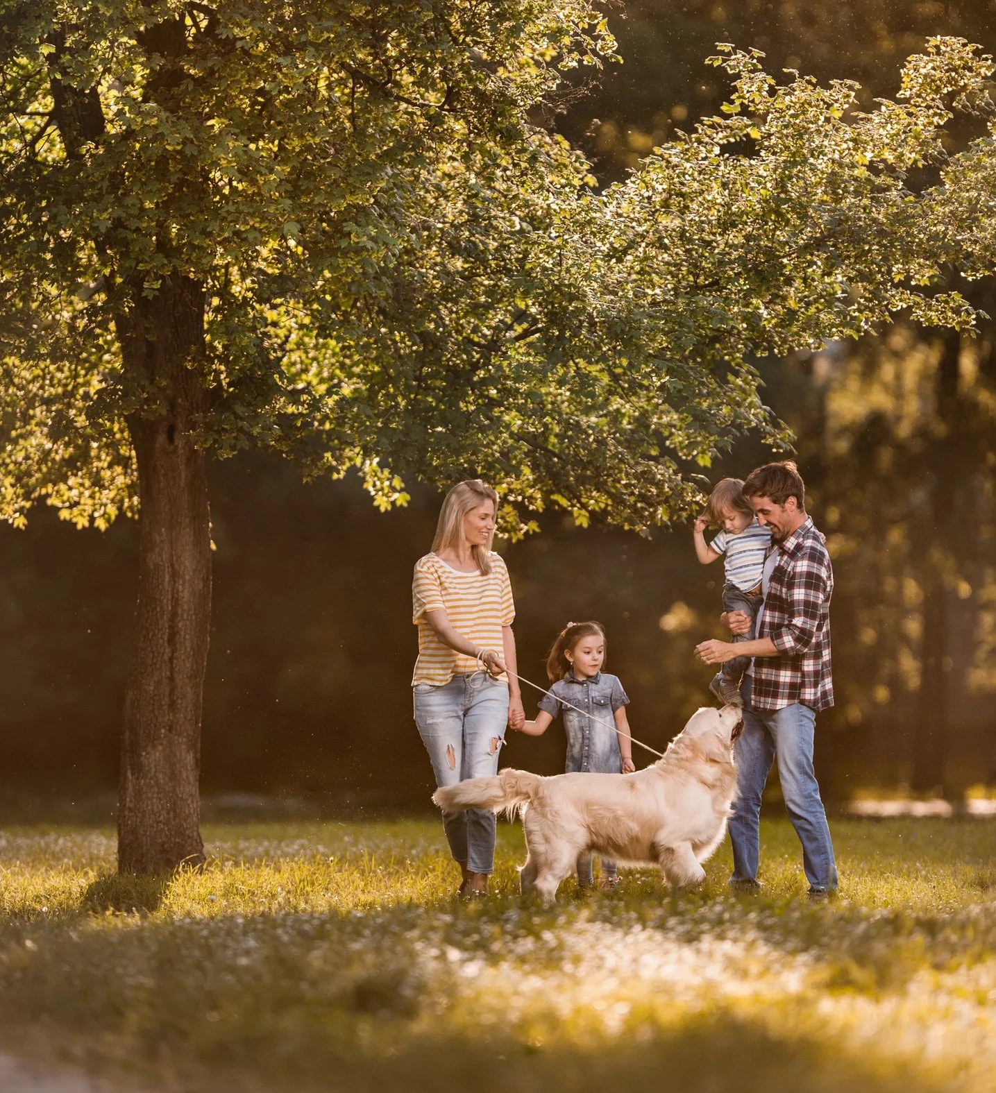 Dog trainer with a dog outdoors